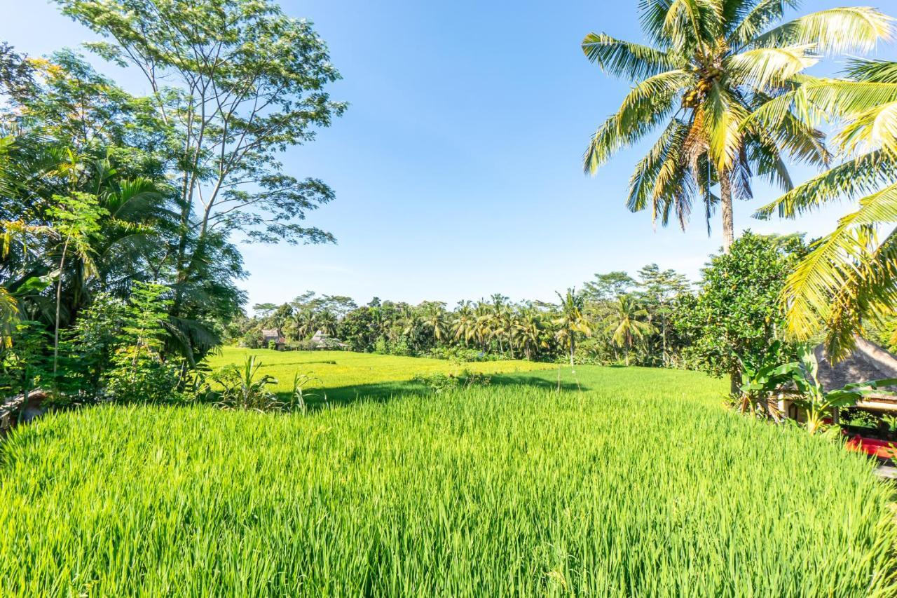 Rouge - Private Villa Passion Ubud Esterno foto